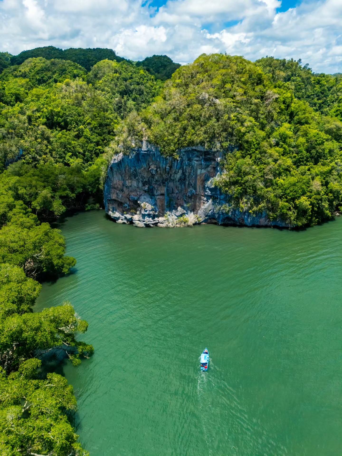 Los Haitises National Park: Boat Tour with Caves Visit - Dominican Republic