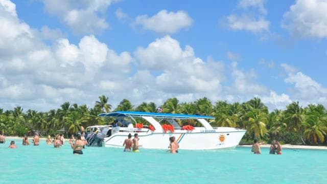 Punta Cana: Saona Island Day Trip - Dominican Republic