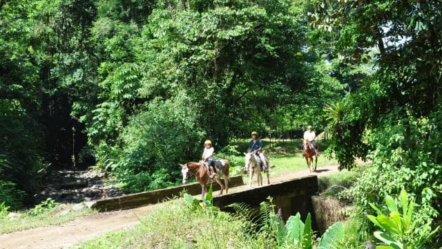 Quepos: Cabalgata a las Cascadas del Chamán - Photo 4 (Gallery view)