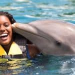 Dolphin Encounter for Dominican Residents - Photo 2 (Gallery view)