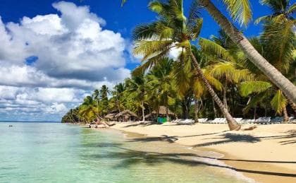 Santo Domingo: Saona Island Day Trip with Lunch and Drinks - Dominican Republic