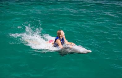 Punta Cana: Dolphin Explorer Swims and Interactions - Photo 4 (Gallery view)