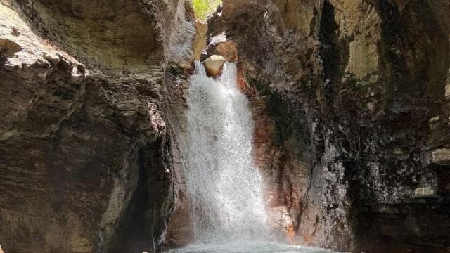 Liberia: Private La Leona Waterfall Hike - Photo 5 (Gallery view)