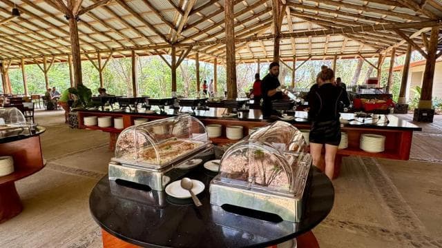 Rio Negro Hot Springs & Oropendola Waterfall Combo & Lunch - Photo 4 (Gallery view)