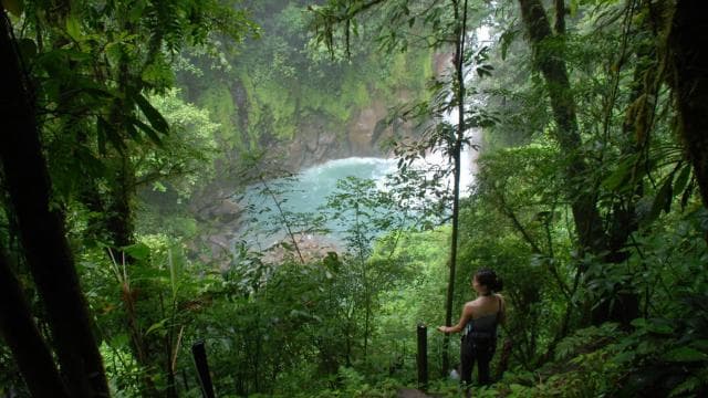 Rio Celeste Waterfall: Rain Forest Hike & Sloth Observation - Photo 3 (Gallery view)