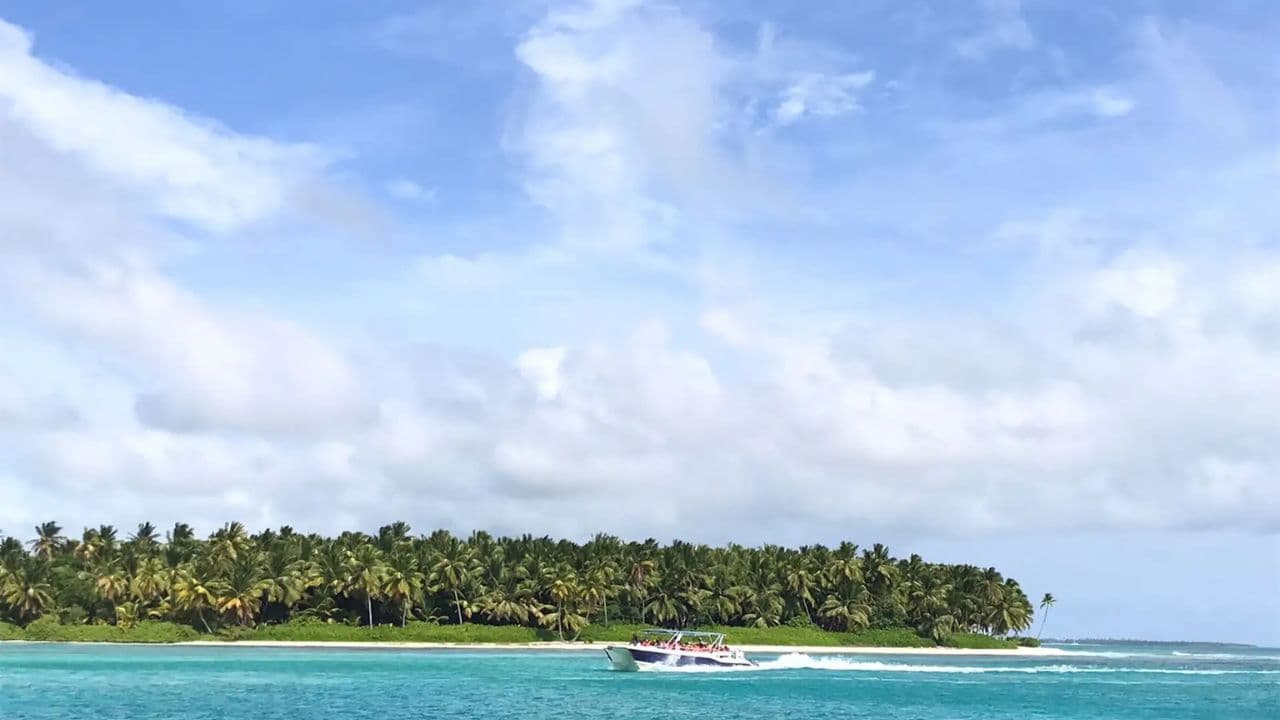 Saona Island: Catamaran Tour to Saona Island All Inclusive - Photo 3 (Gallery view)