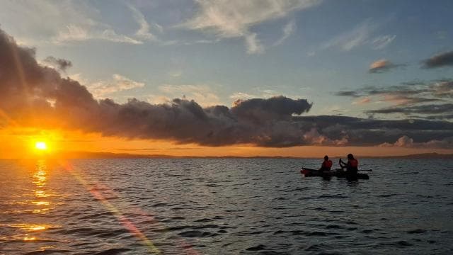 Puerto Jiménez : aventure en kayak dans le Golfo Dulce + Bioluminescence - Photo 5 (Gallery view)