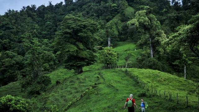 From Fortuna: 2 Day Hike to Monteverde with Hotel Transfer - Photo 5 (Gallery view)