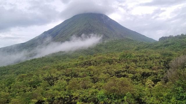 Vulcano Arenal: escursione guidata sul sentiero El Silencio - Photo 5 (Gallery view)