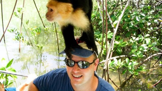 Manuel Antonio: Damas Island Mangrove Boat Tour with Lunch - Photo 5 (Gallery view)