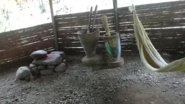 Watsi: chocolate and waterfall with transportation and lunch - Dominican Republic