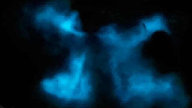 La Parguera: Bioluminescent Bay Boat Tour - Photo 3 (Gallery view)