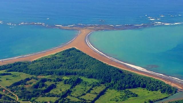 Uvita: Marino Ballena National Park Private Guided Walk Tour - Photo 4 (Gallery view)
