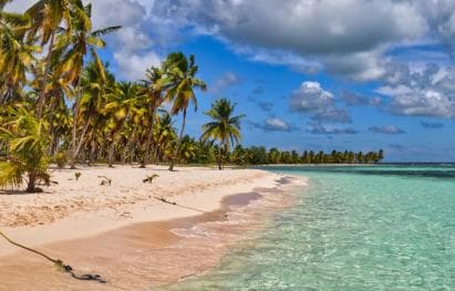 Saona Island: Punta Cana All-Inclusive - Photo 3 (Gallery view)