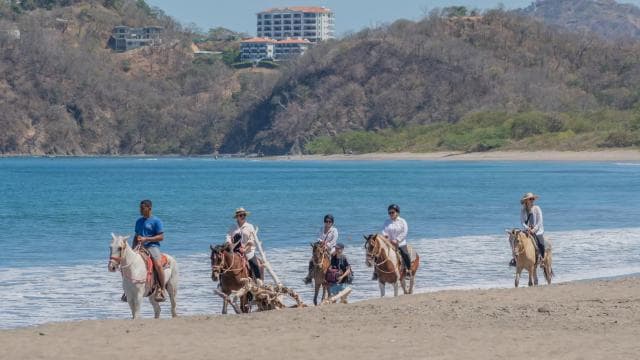 From Brasilito: 1-Hour Horseback Riding Beach Tour - Photo 3 (Gallery view)