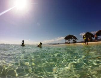 Cayo Arena: Paradise Island and Mangroves Tour - Dominican Republic