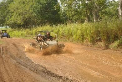 Karibik-Buggy-Flucht – Bayahibe-Dschungel und Safari - Photo 4 (Gallery view)