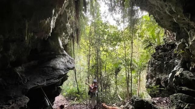 Puerto Rico, Dorado: Educational Forestry Walk - Photo 3 (Gallery view)