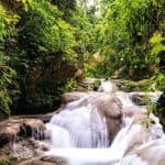 Jamaica: Full Day Dunn’s River and Blue Hole with Lunch - Photo 4 (Gallery view)