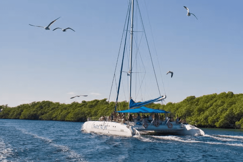 Croisière en catamaran à Cayo Santa María - Photo 4 (Gallery view)