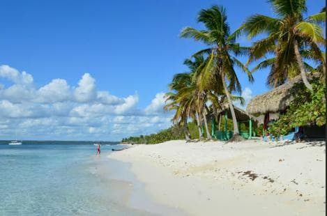 Punta Cana: Catalina Island Snorkeling and lunch Day Trip - Photo 2 (Gallery view)