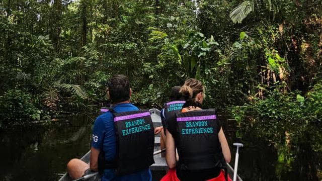 Tortuguero: Canoe tour through the Costa Ricans Amazons. - Photo 2 (Gallery view)
