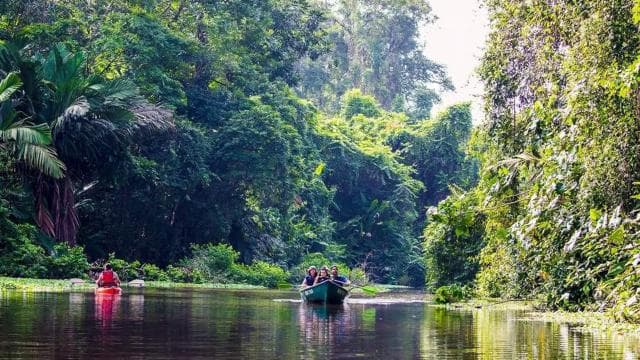 Rafting in Sarapiqui River from La Fortuna: Afternoon tour - Photo 3 (Gallery view)