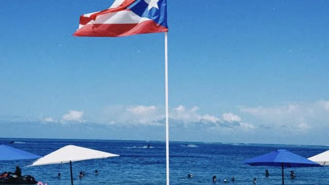 San Juan: El Yunque Waterfalls & Luquillo Beach Tour - Photo 4 (Gallery view)
