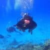 Punta Cana: Catalina Island Scuba Diving Day Trip - Photo 3 (Gallery view)