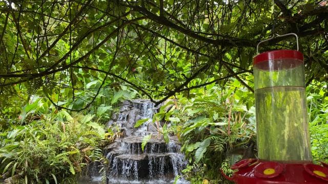 La Paz Waterfall Gardens Day Pass Ticket - Dominican Republic
