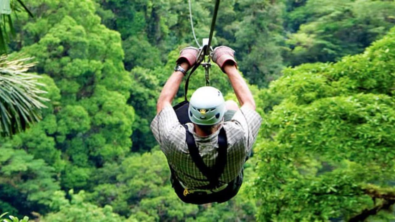 Las Terrenas : Adrenaline Zipline Adventure Tour in Samana - Photo 4 (Gallery view)