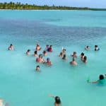 Saona Island Tour from Santo Domingo - Dominican Republic
