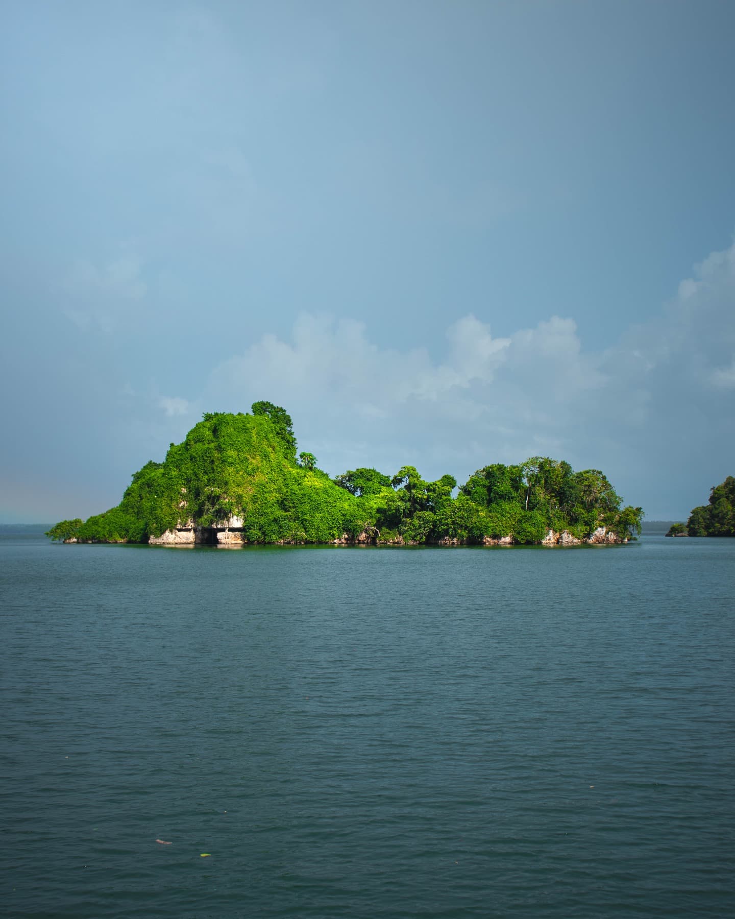 Los Haitises National Park: Private Boat Tour from Caño Hondo - Dominican Republic