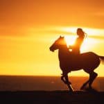 Puerto Plata: Sunset Beach Horseback Riding Tour - Dominican Republic