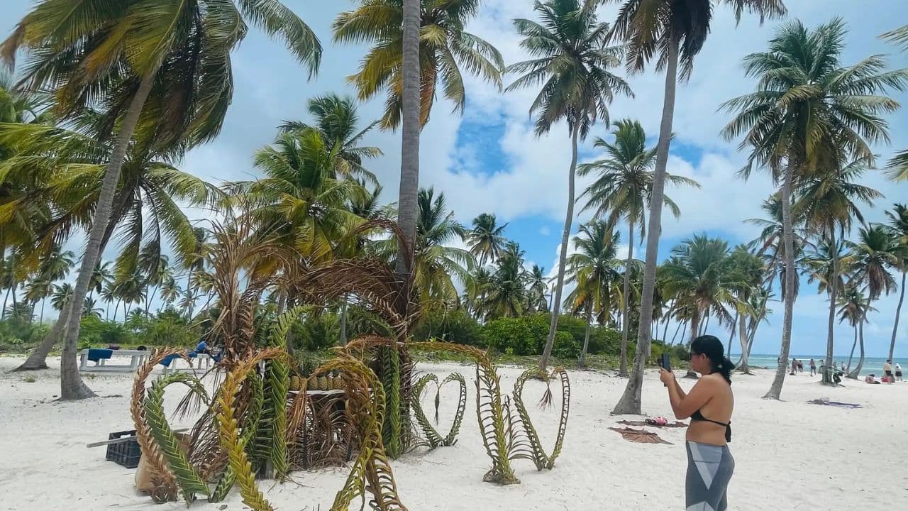 Full-Day Cruise of Isla Saona from Santo Domingo with Lunch - Dominican Republic