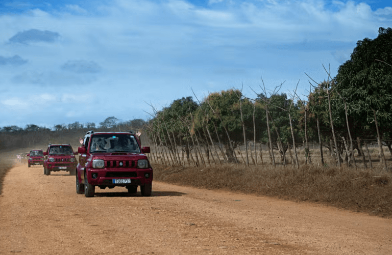 Yaguajay Jeep Safari - Photo 5 (Gallery view)
