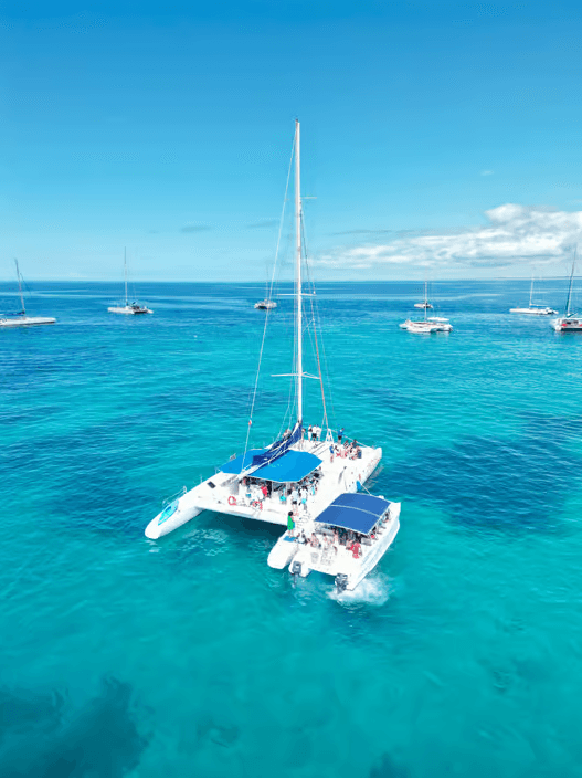 From Santo Domingo: Isla Saona Day Trip with Catamaran Ride - Photo 3 (Gallery view)