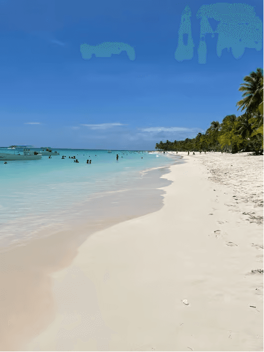 From Santo Domingo: Isla Saona Day Trip with Catamaran Ride - Photo 2 (Gallery view)