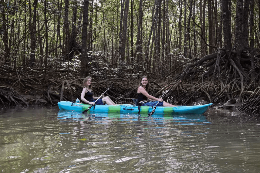 Quepos: Kayak Tour in the Mangroves Near Manuel Antonio Park - Dominican Republic