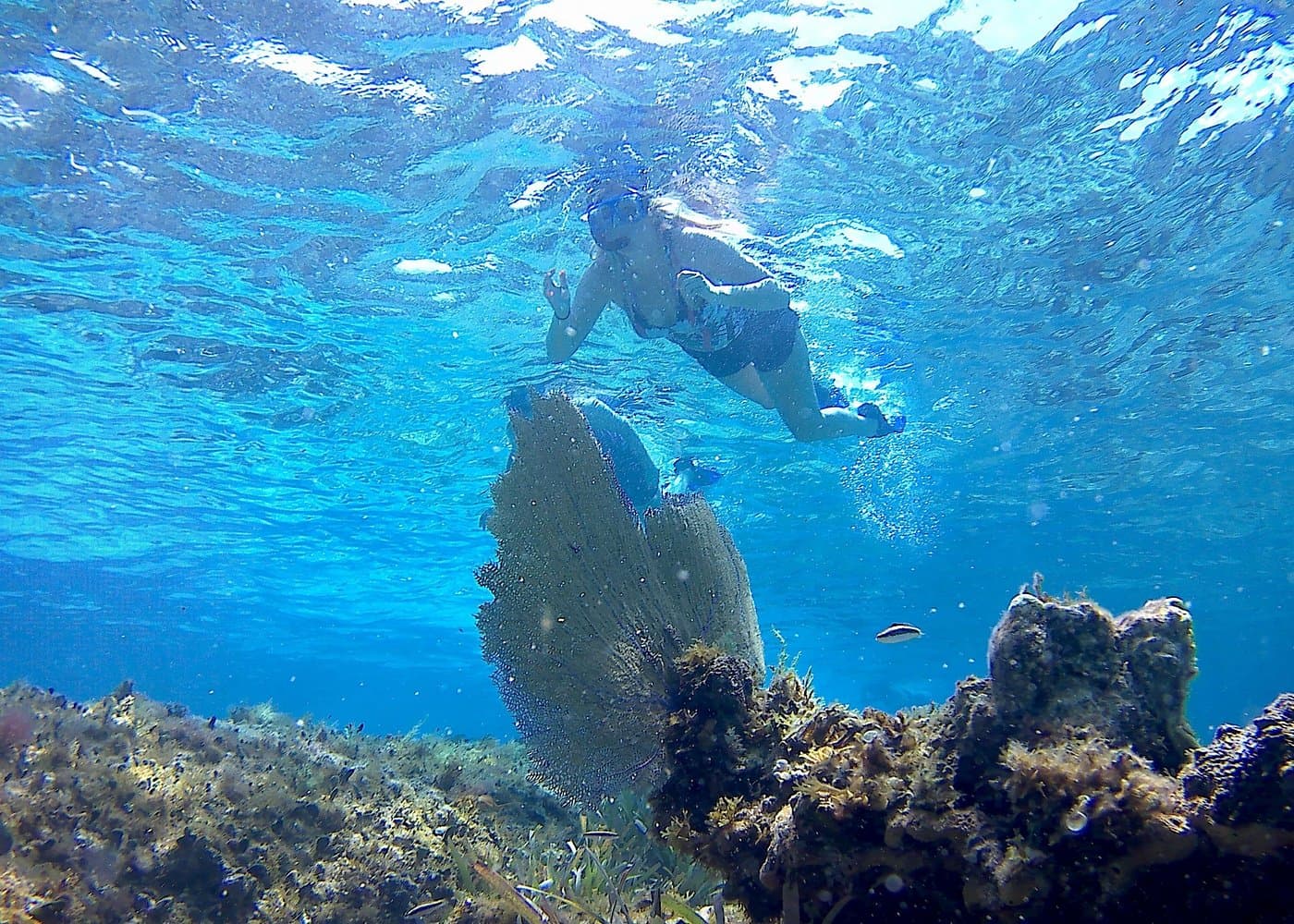 Private 6 Hrs 47 ft. Catamaran Snorkel & Cielo Charter (30p. max) - Photo 2 (Gallery view)