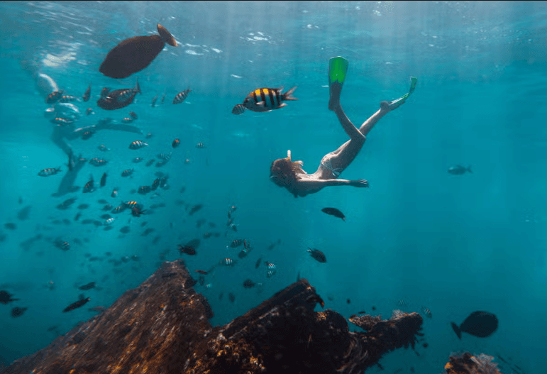 Snorkelling in Havana - Dominican Republic