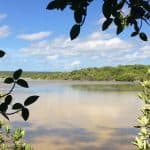 Jaragua Nemzeti Park: Fedezze fel a Laguna de Oviedo-t - Photo 2 (Gallery view)