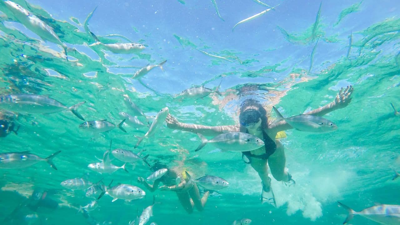Punta Cana: Speedboat and Snorkeling Adventure with … - Dominican Republic