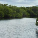 Puerto Plata: Day Trip to Cayo Arena Island by Speedboat - Photo 2 (Gallery view)