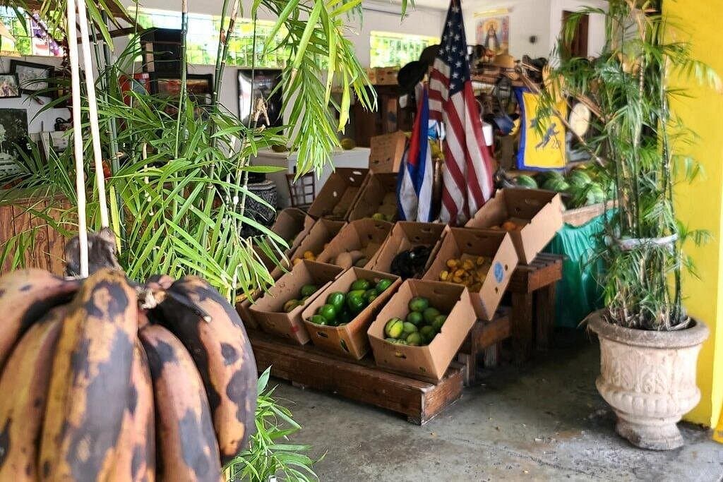 Little Havana: Authentic Food and Culture Walking Tour - Photo 5 (Gallery view)