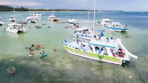 Party Boat Booze Cruise - Photo 4 (Gallery view)