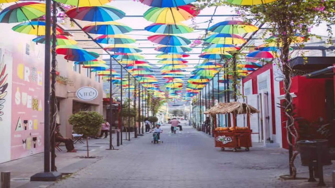 Puerto Plata: Guided Tour with Lunch and Rum Tasting - Photo 5 (Gallery view)