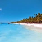 Full-Day Saona Island Tour by Speedboat - Dominican Republic
