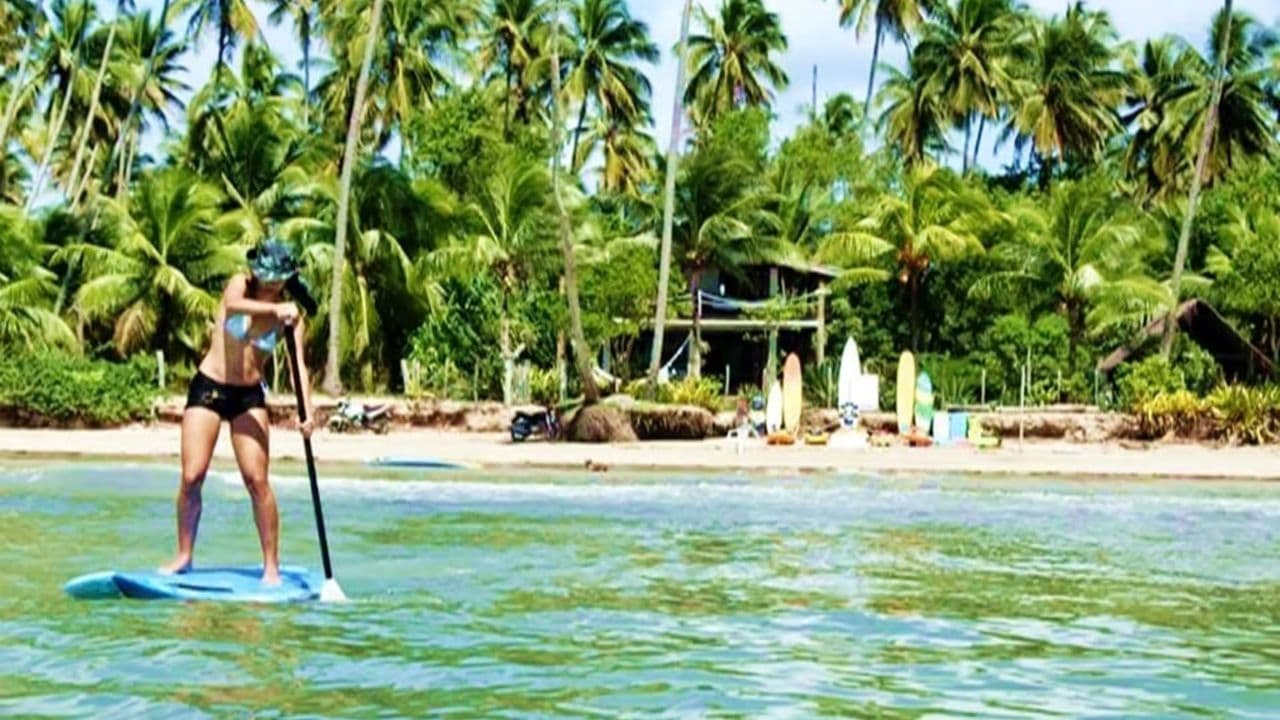 Private Transfert Punta Cana Airport to Bahia P. Fantasia - Dominican Republic