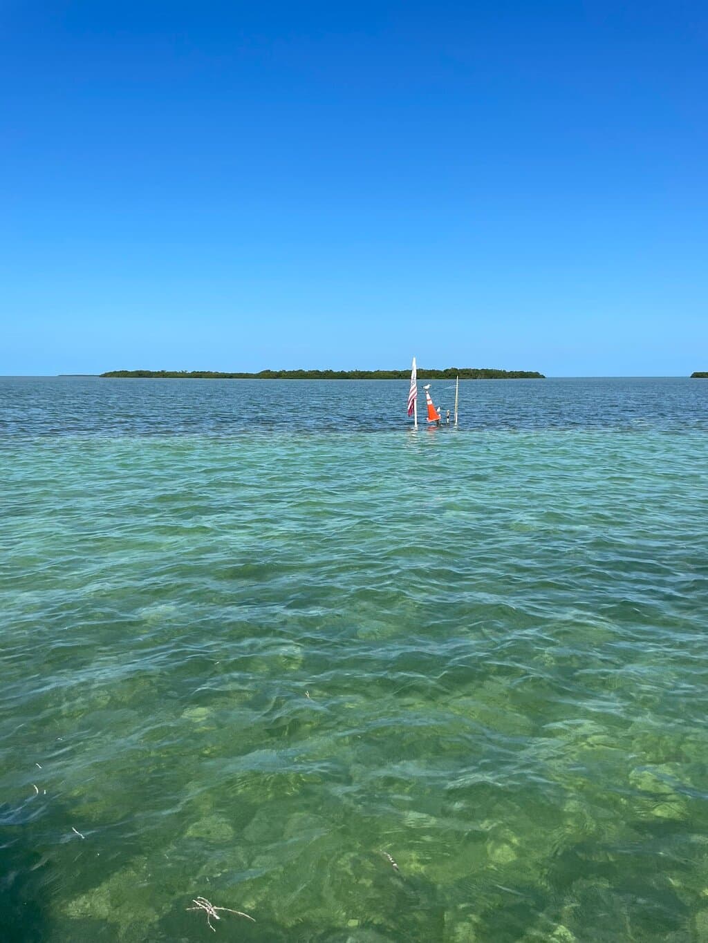 Key West: 22ft Premier Pontoon Rental 115 HorsePower 10 passengers - Photo 4 (Gallery view)